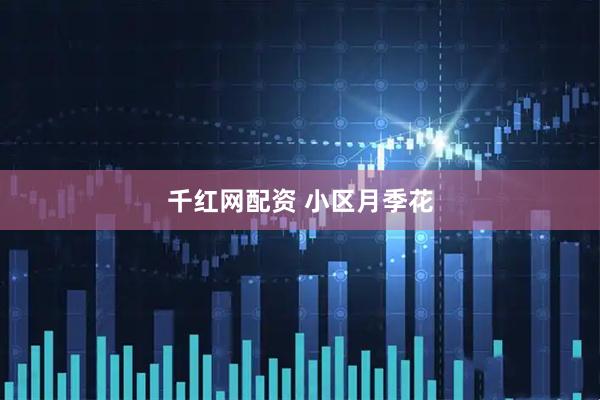千红网配资 小区月季花